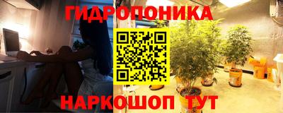 крисы Сланцы